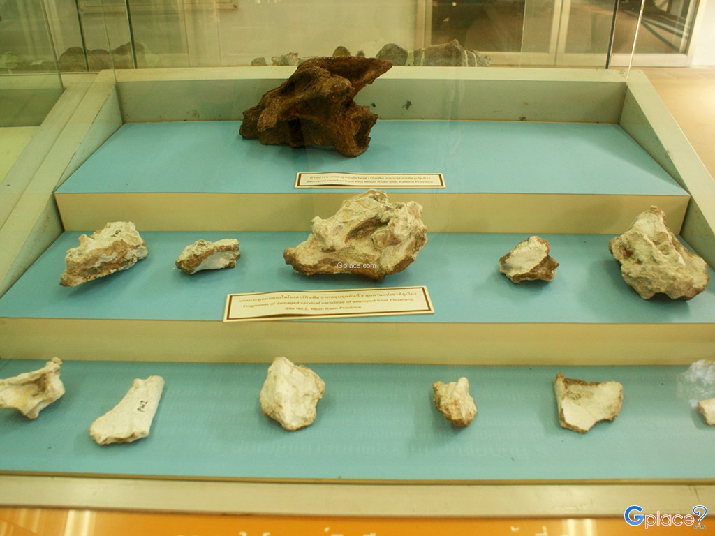 พิพิธภัณฑ์ไดโนเสาร์ภูเวียง
