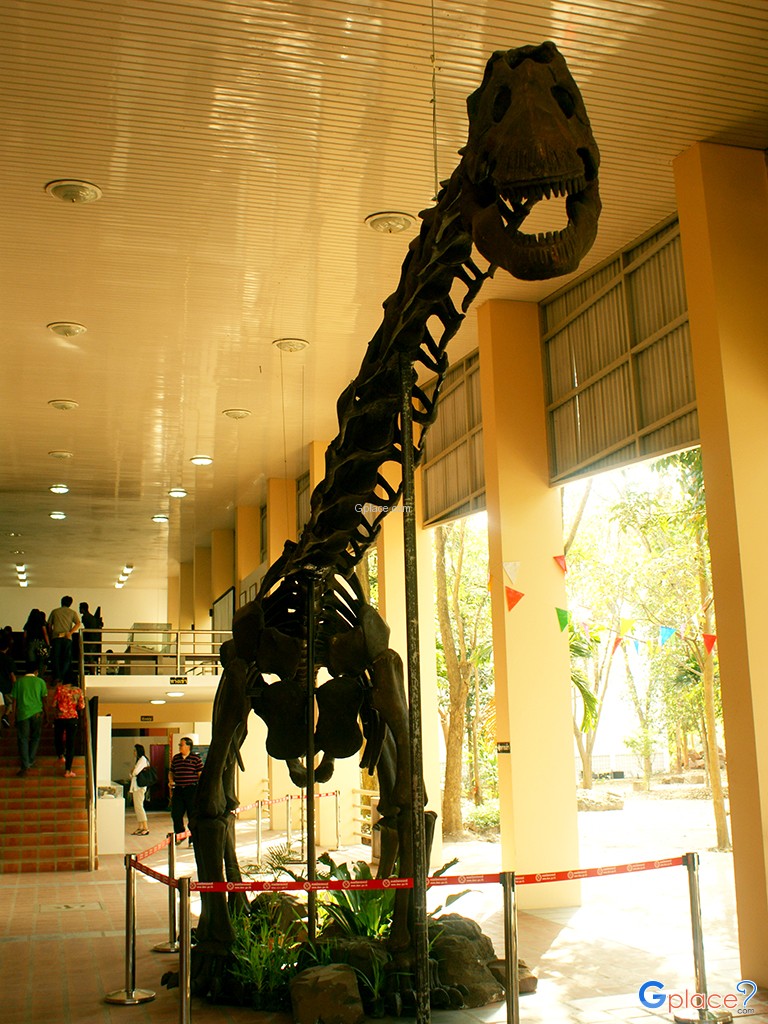 พิพิธภัณฑ์ไดโนเสาร์ภูเวียง