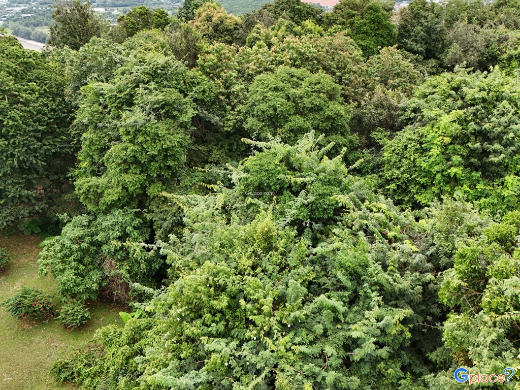 Tháp Quan Sát Khao Khad