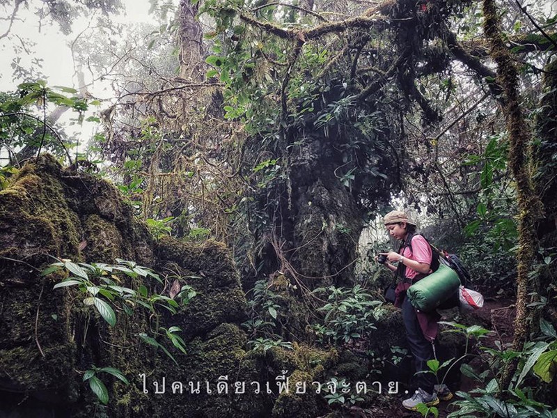 Doi Luang Chiang Dao National Park