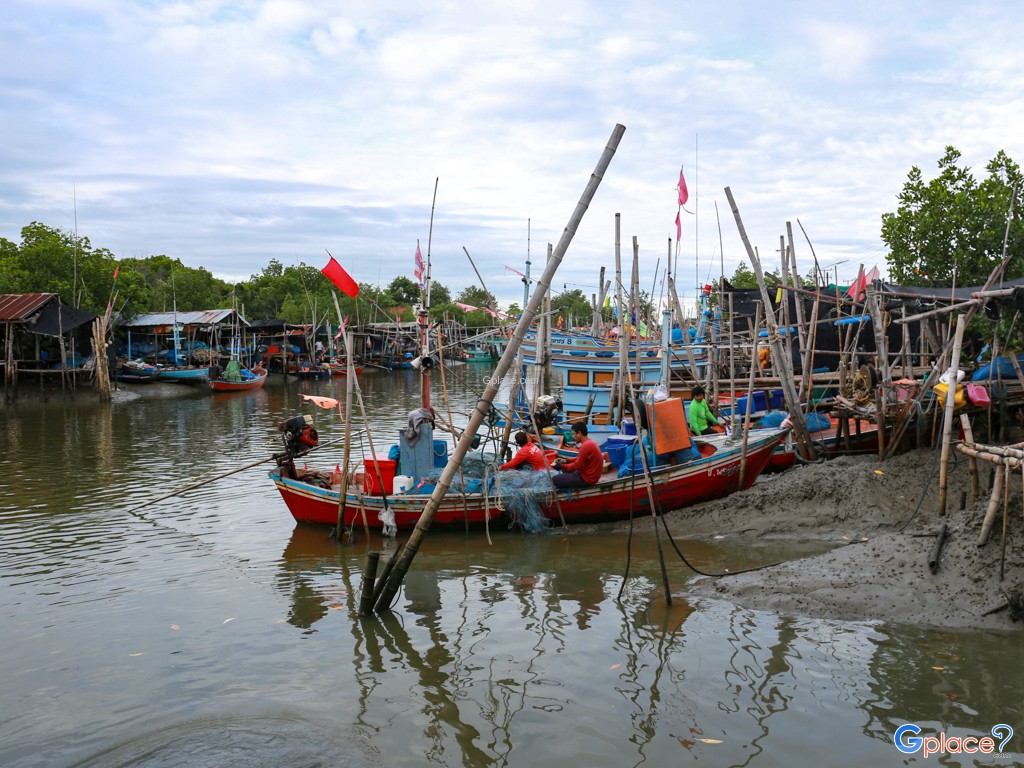 Whale Watching at Laem Phak Bia