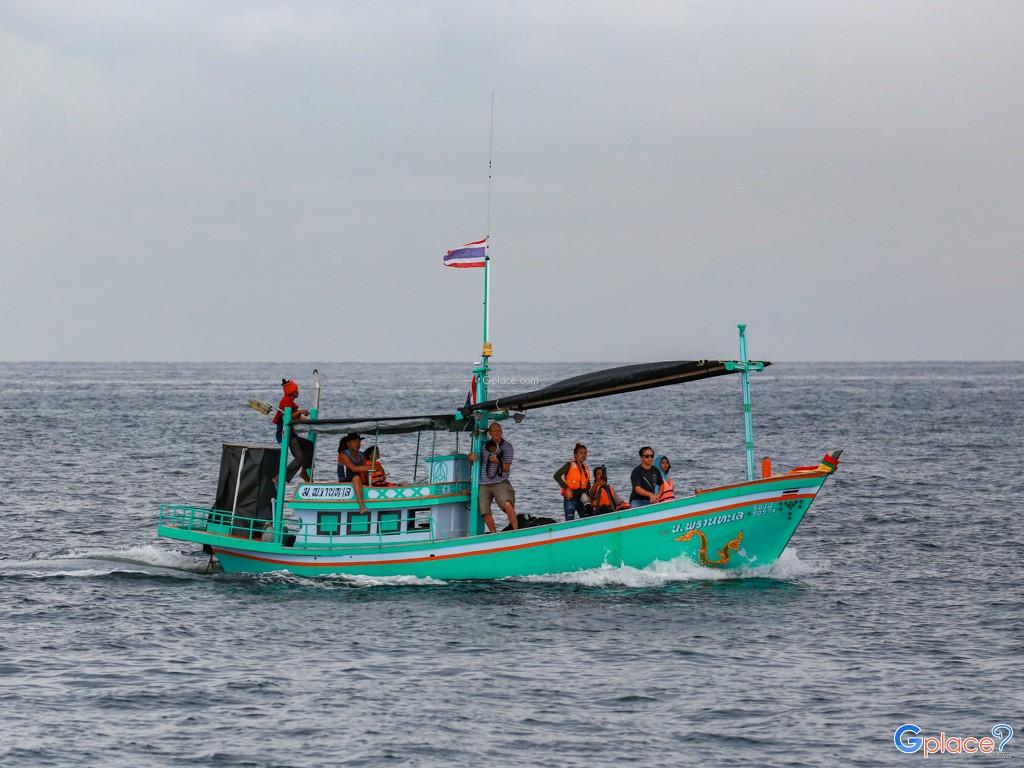 Whale Watching at Laem Phak Bia