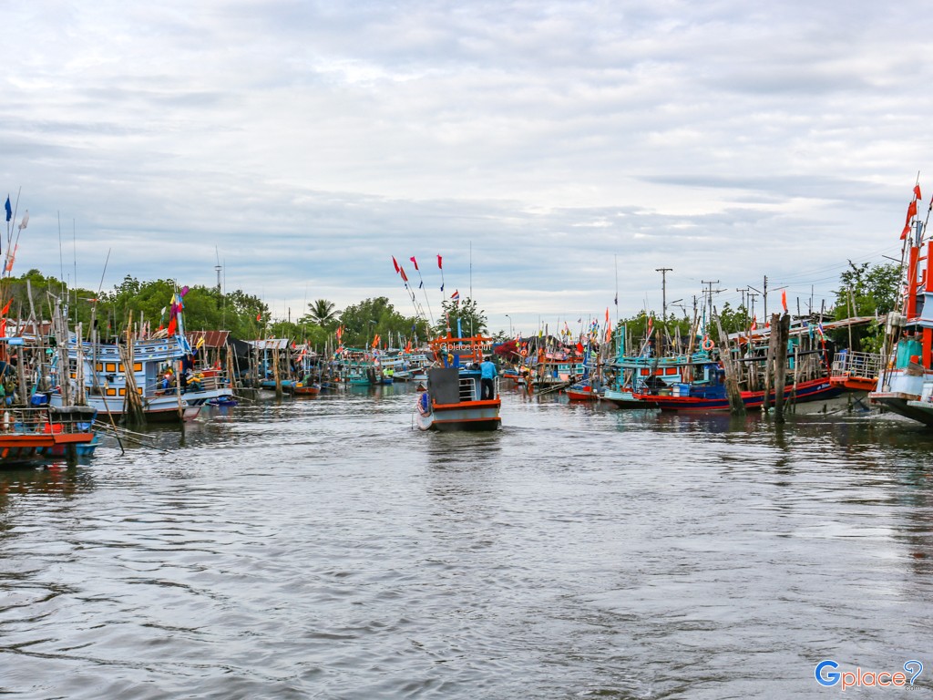 Whale Watching at Laem Phak Bia