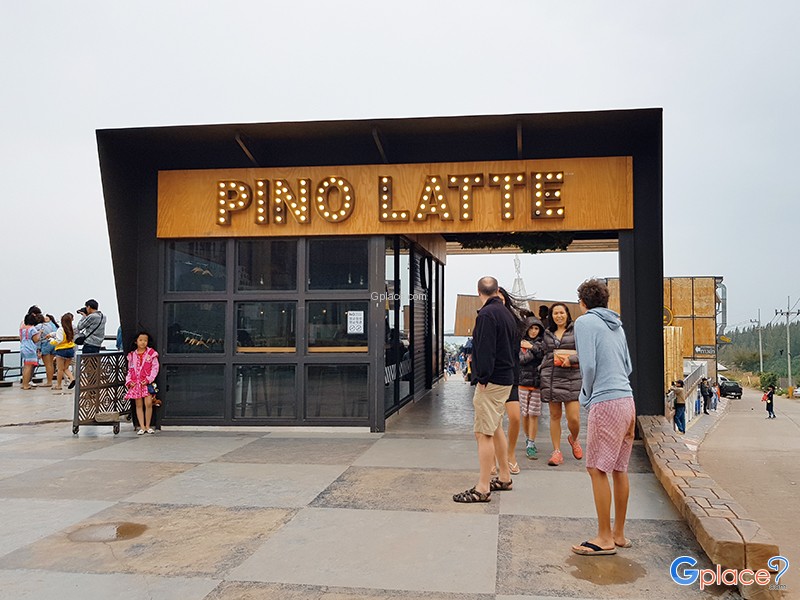 Pino Latte Cafe