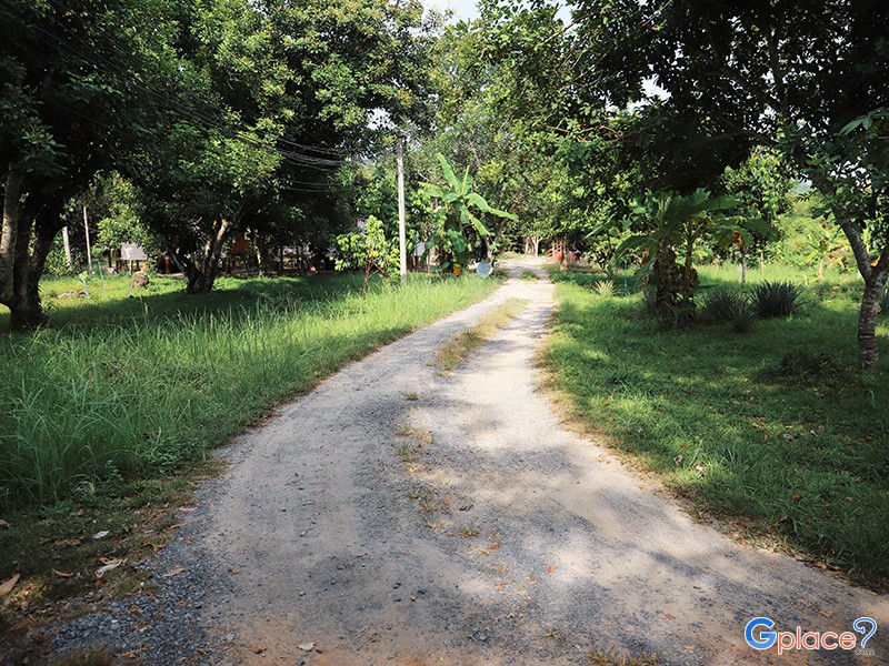 สวนสมุนไพรศรีราม