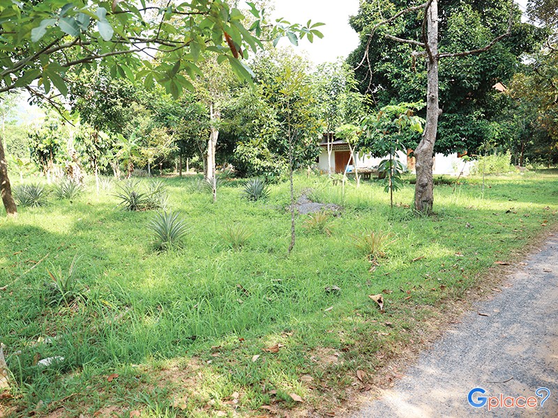 สวนสมุนไพรศรีราม