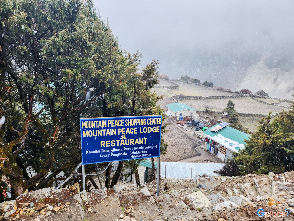 ปังโบเช