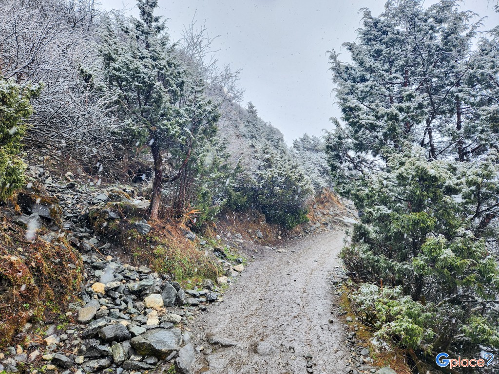 ปังโบเช