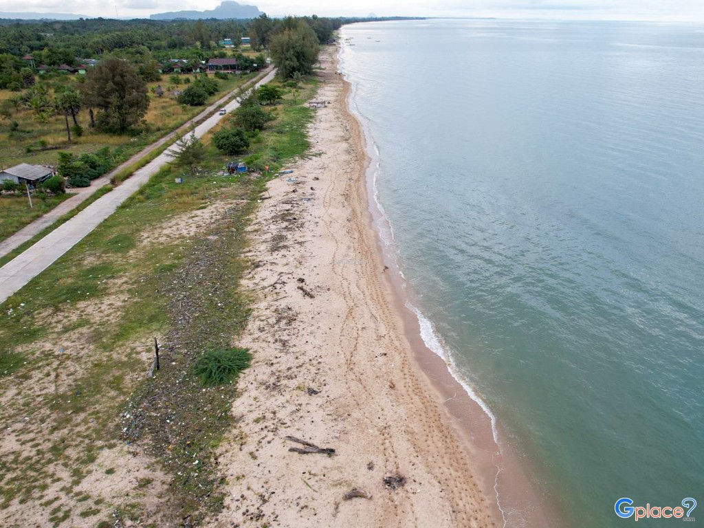 หาดนิยม