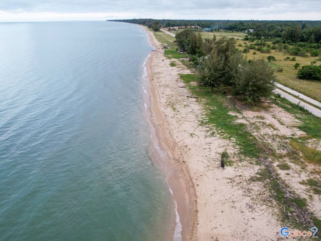 หาดนิยม