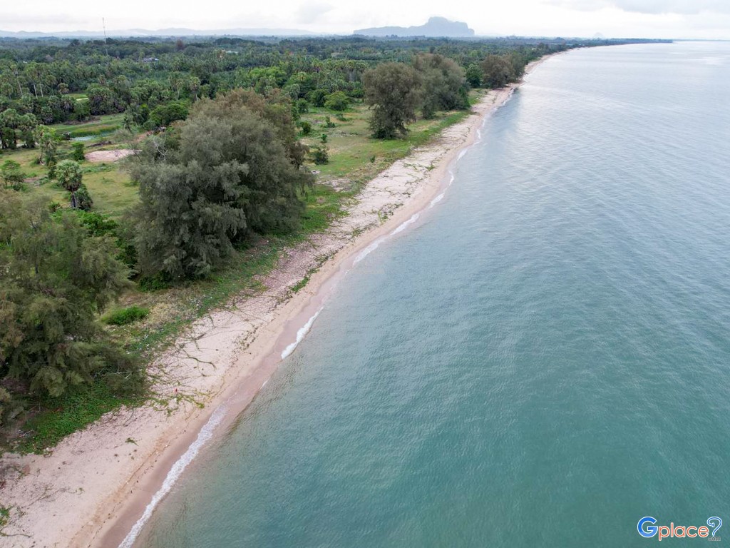 หาดนิยม