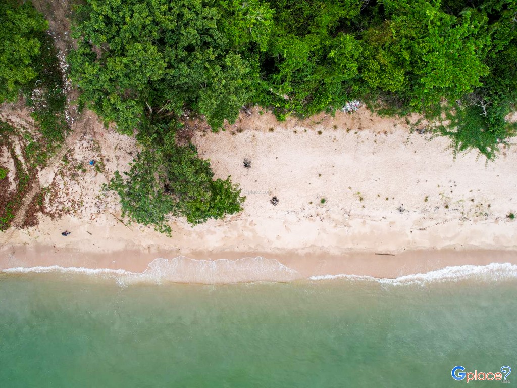 หาดนิยม