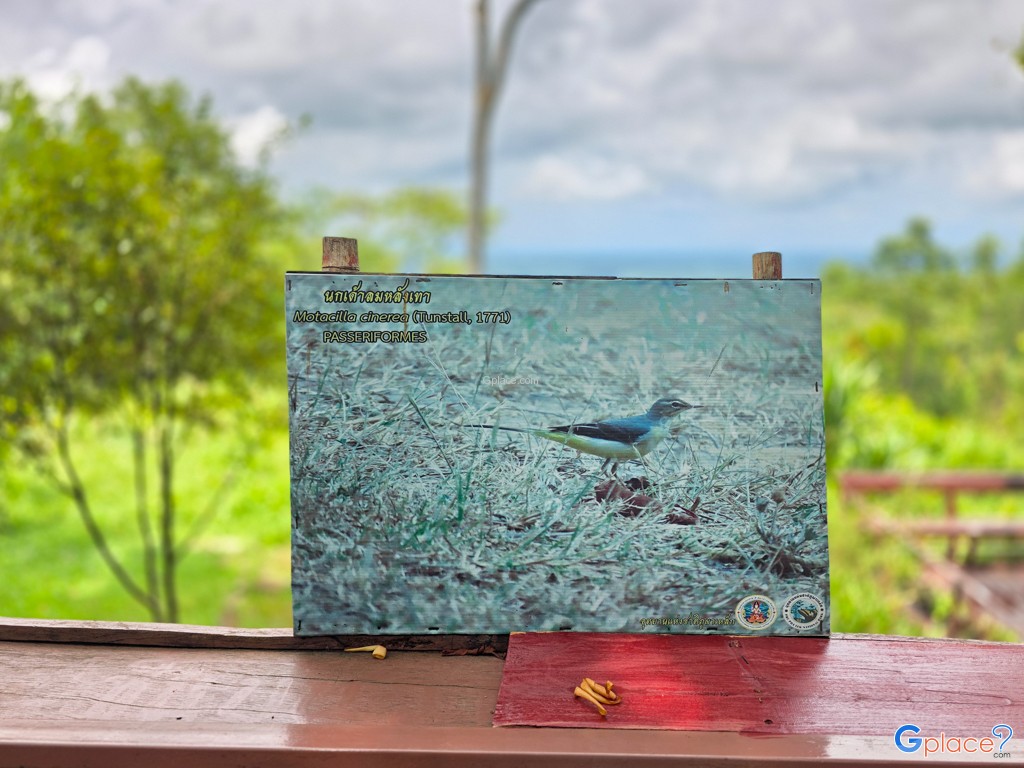 อุทยานแห่งชาติภูผาเหล็ก