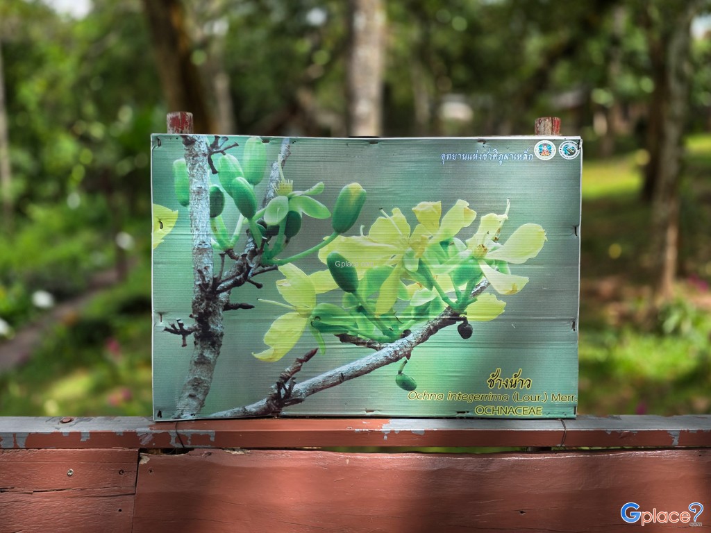 อุทยานแห่งชาติภูผาเหล็ก