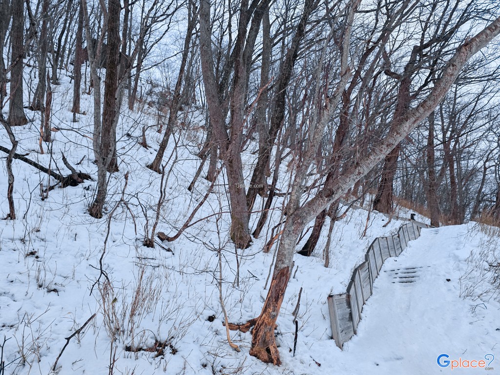 ชิโกะสึโกะ ออนเซ็น