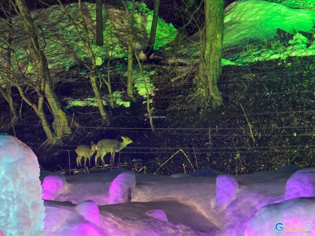 ชิโกะสึโกะ ออนเซ็น