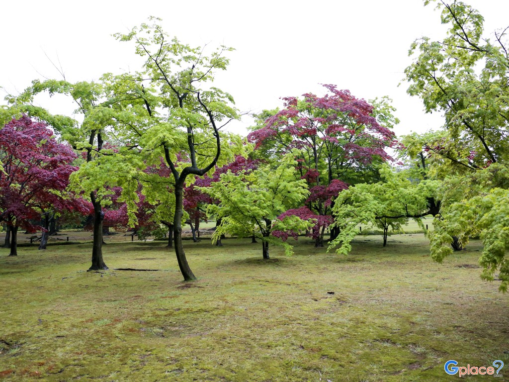 สวนโคระคุเอน โอคายาม่า