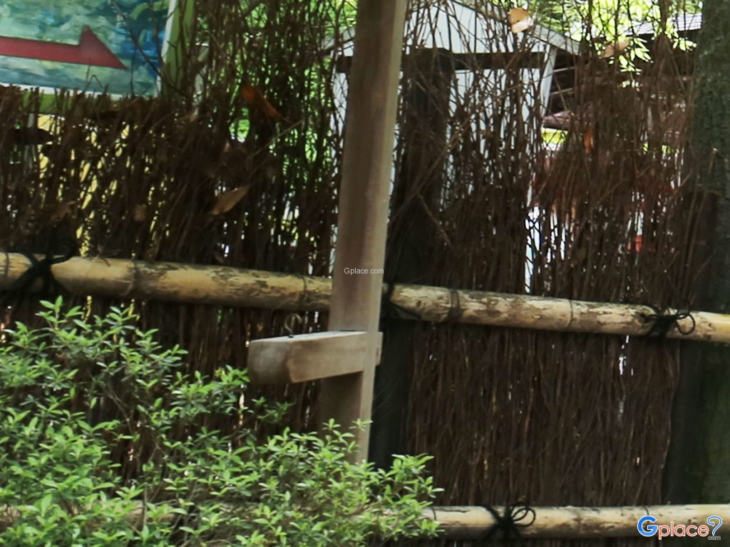 ศาลเจ้าโนโนมิยะ