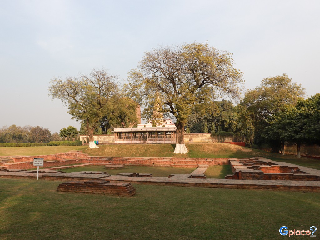Stupa Dhamekh Sarnath