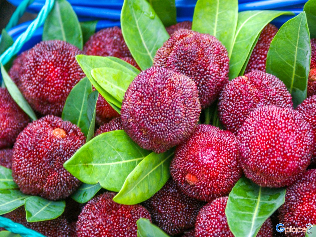 เมืองหางโจว