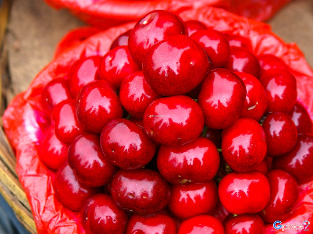 เมืองหางโจว