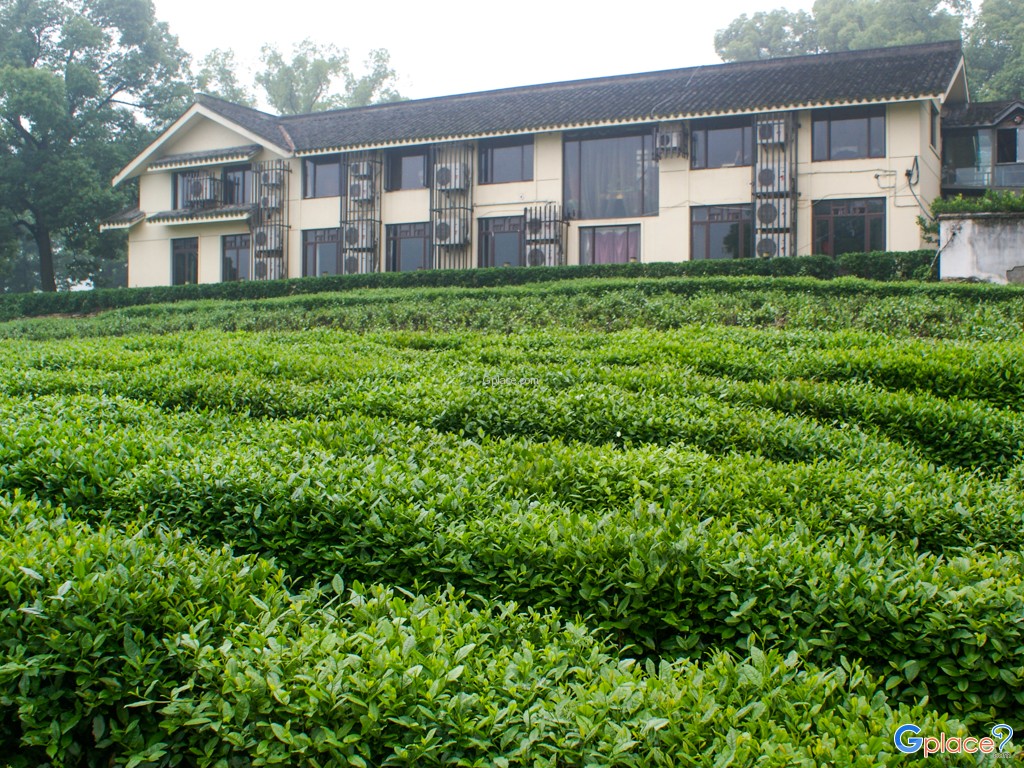 เมืองหางโจว