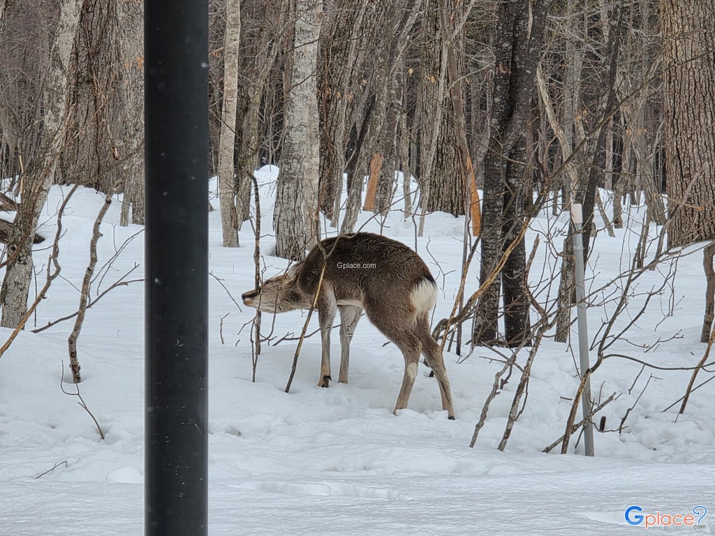จุดพักรถซุยเมโกะ