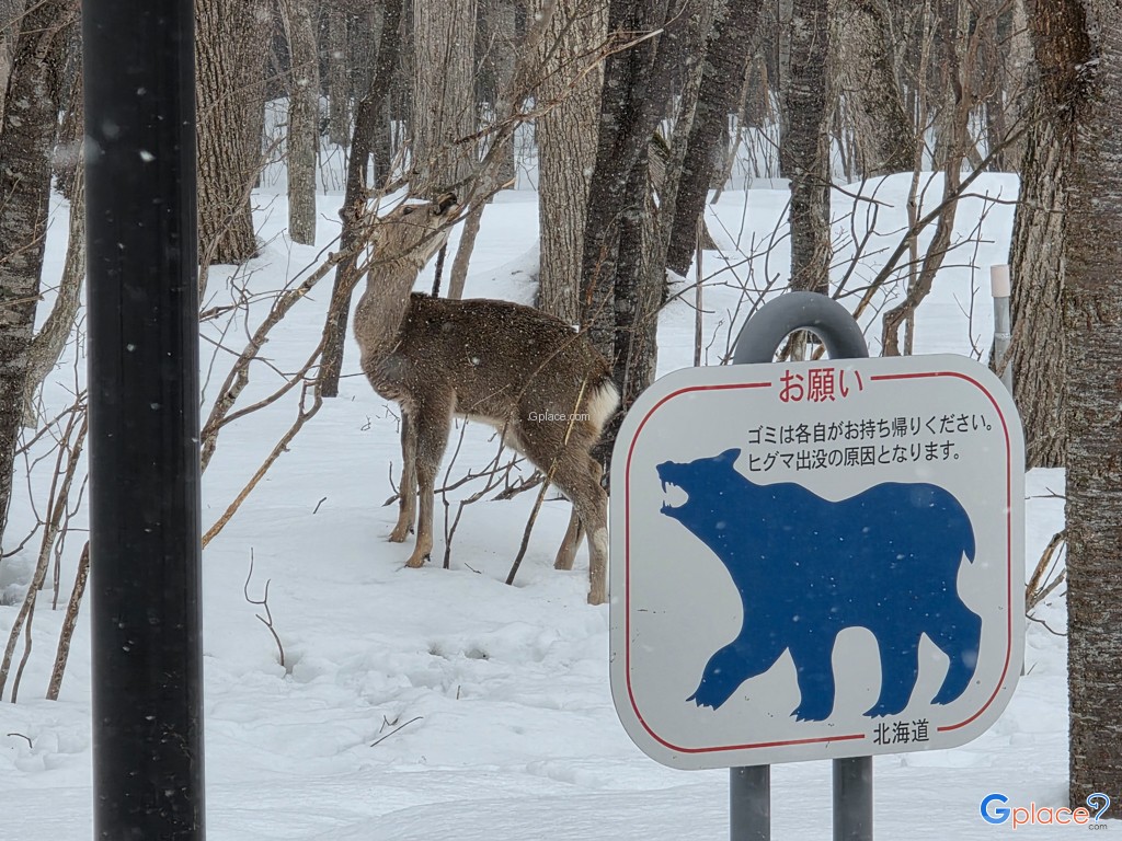 จุดพักรถซุยเมโกะ