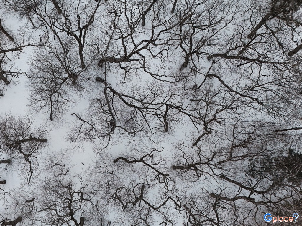 จุดพักรถซุยเมโกะ