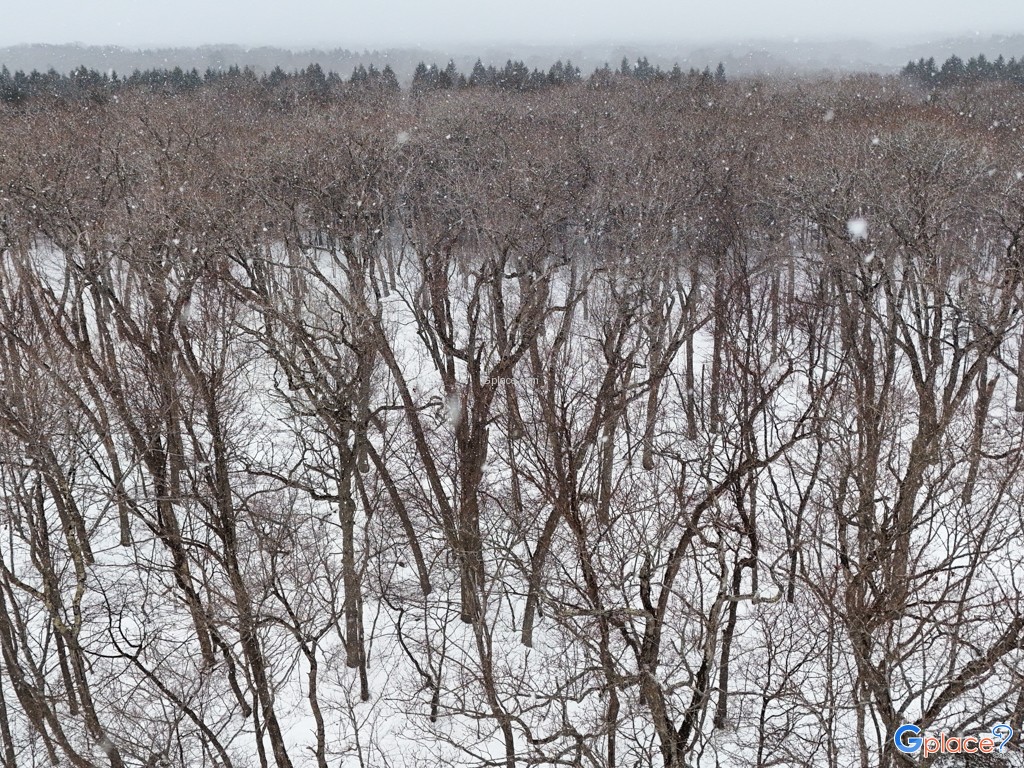 จุดพักรถซุยเมโกะ