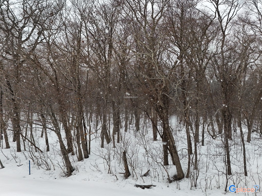 จุดพักรถซุยเมโกะ