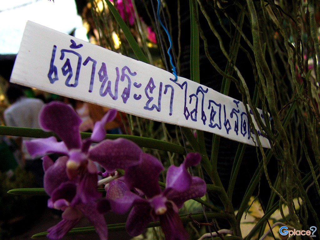Thonburi Market