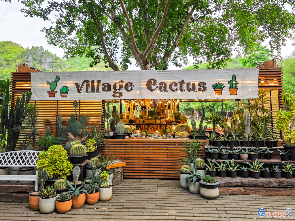 เดอะ วิลเลจ ฟาร์ม ทู คาเฟ่