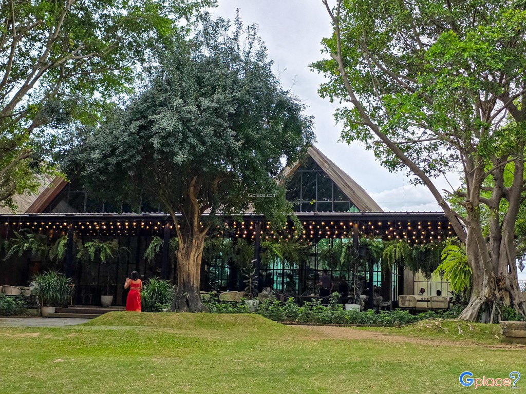 เดอะ วิลเลจ ฟาร์ม ทู คาเฟ่