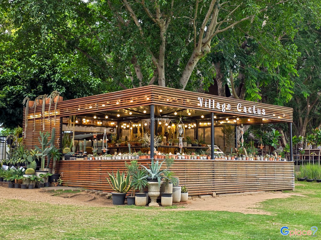 เดอะ วิลเลจ ฟาร์ม ทู คาเฟ่