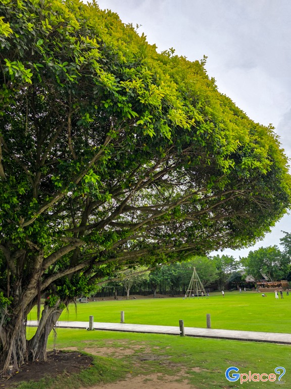 เดอะ วิลเลจ ฟาร์ม ทู คาเฟ่