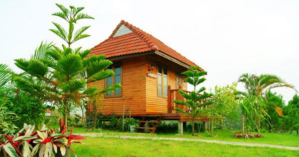 ฟู่ฟู่อินเลิฟ เขาค้อ 