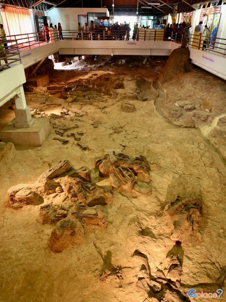 อาคารแหล่งขุดพบซากไดโนเสาร์