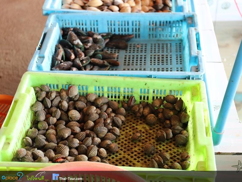 ร้านโชคอารีย์