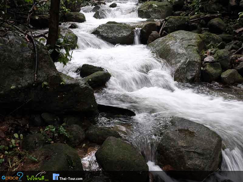 สมพงภูเขาทอง