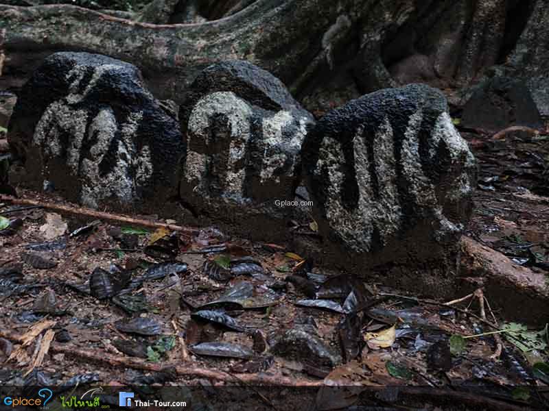 สมพงภูเขาทอง