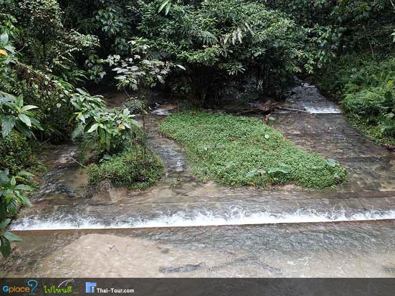 สมพงภูเขาทอง