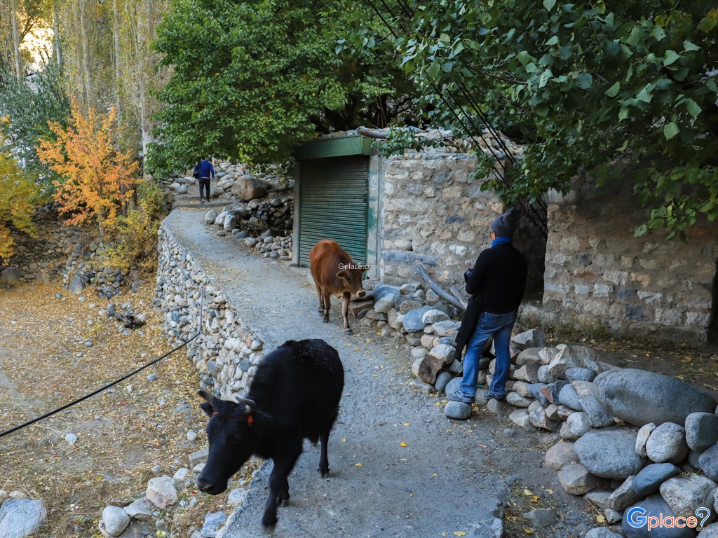 Aldeia Turtuk