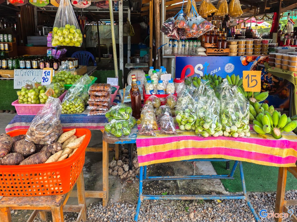 ต้นจามจุรียักษ์