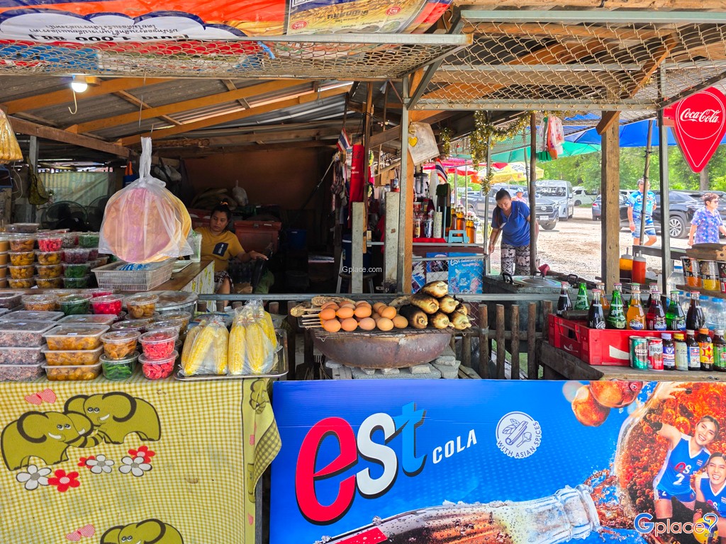 ต้นจามจุรียักษ์