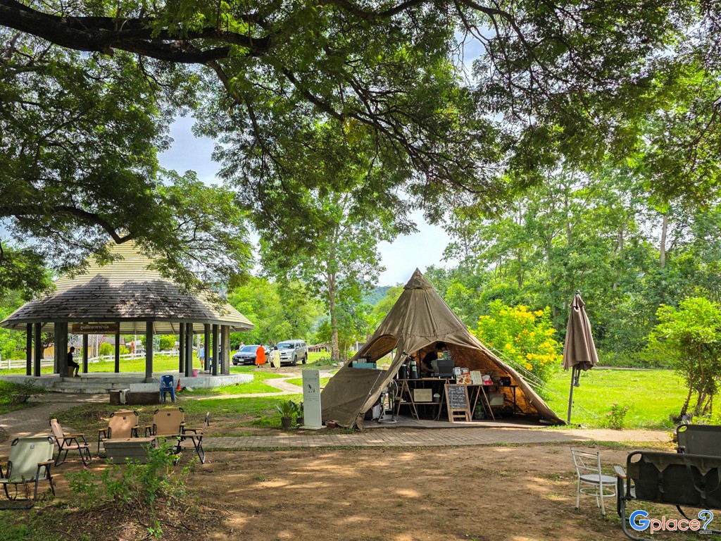 ต้นจามจุรียักษ์