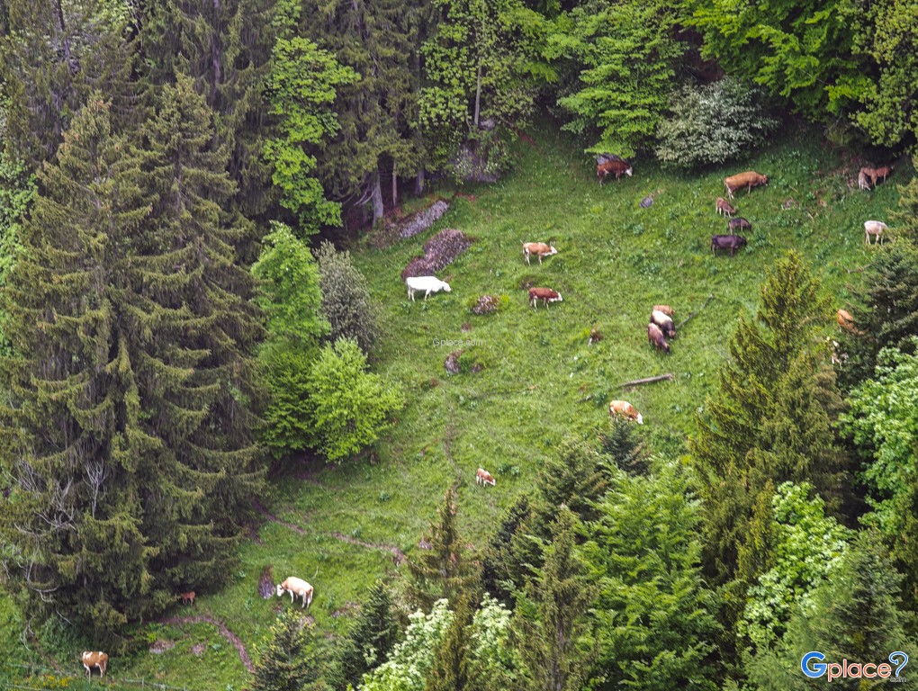 สถานีรถไฟริกิ คาลท์บาดเฟิร์สต์