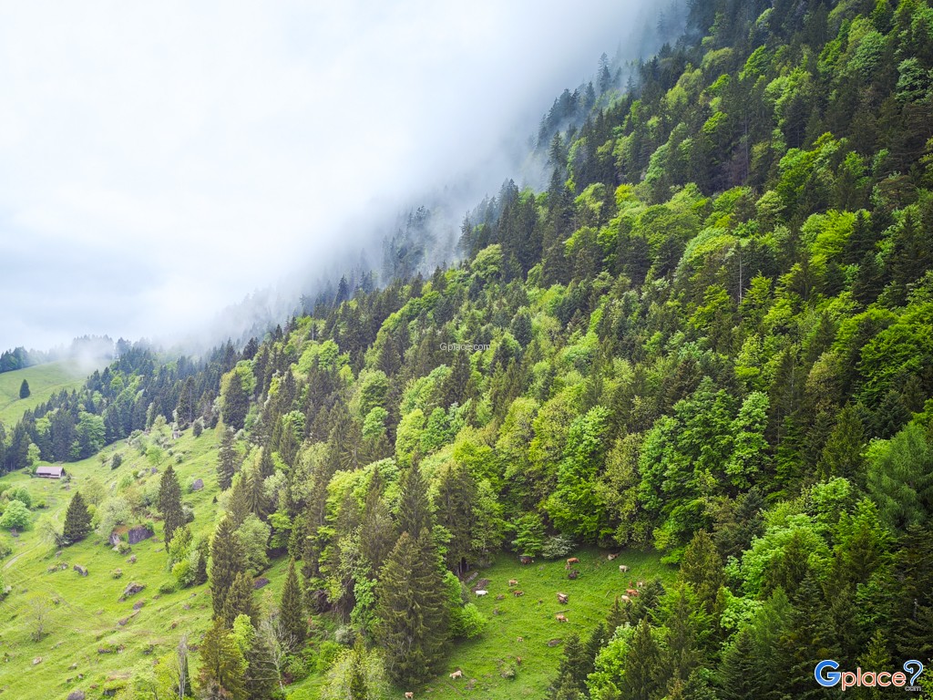 สถานีรถไฟริกิ คาลท์บาดเฟิร์สต์