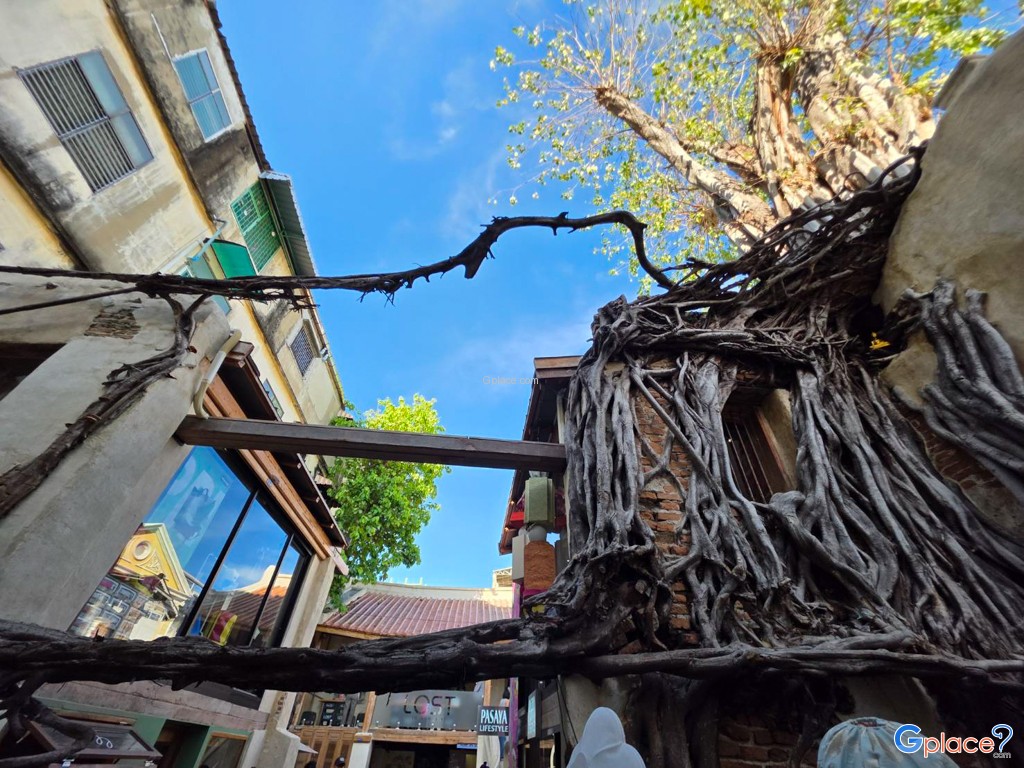 ถนนทรงวาด