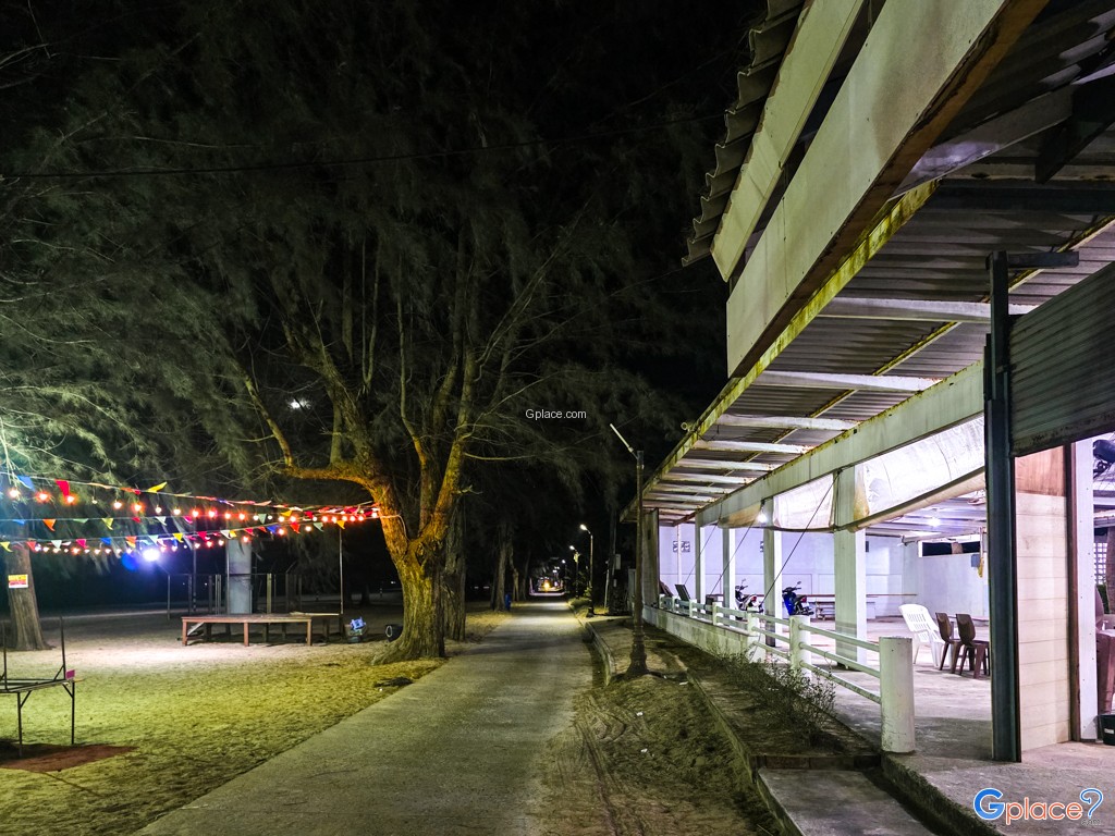 นิวทิวสน แหลมสิงห์